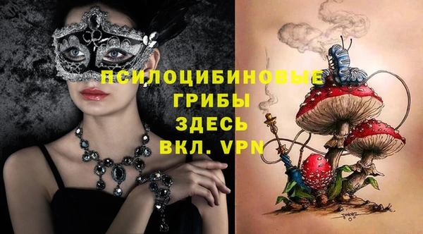 кокс Алексин