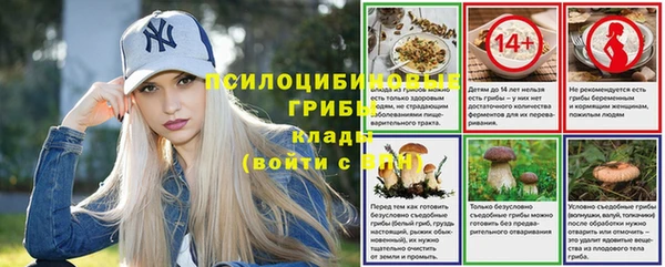 молекула духа Алзамай