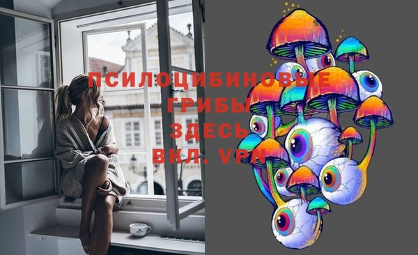 первитин Алексеевка